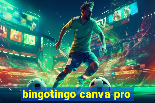 bingotingo canva pro